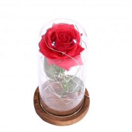LED Rose Flower String Fairy Light Bottle Night Lamp Romantic Wedding Decor Glass Cover Wood Base for Christmas Birthday Gift