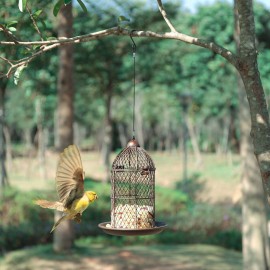 Tooarts Bird Feeder Bird Cage Feeder Hanging Wild Bird Feeder Garden Backyard Decoration Bird Gift