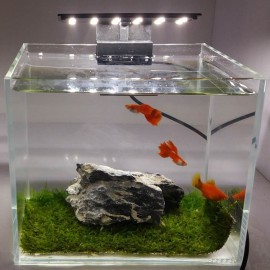 5W Ultra-thin Aquarium LED Light Ultra Bright Clip-on Lighting Lamp 12 LEDs for Aquarium Fish Tank