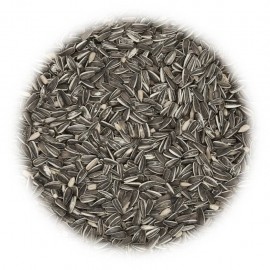 Bird food 25 kg sunflower seeds
